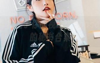 别让工作模糊了你的视线：Sonson(손손)的秘书合集